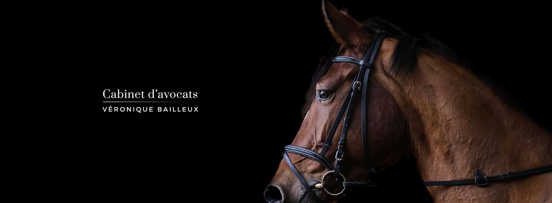 Avocat Nantes - Véronique Bailleux